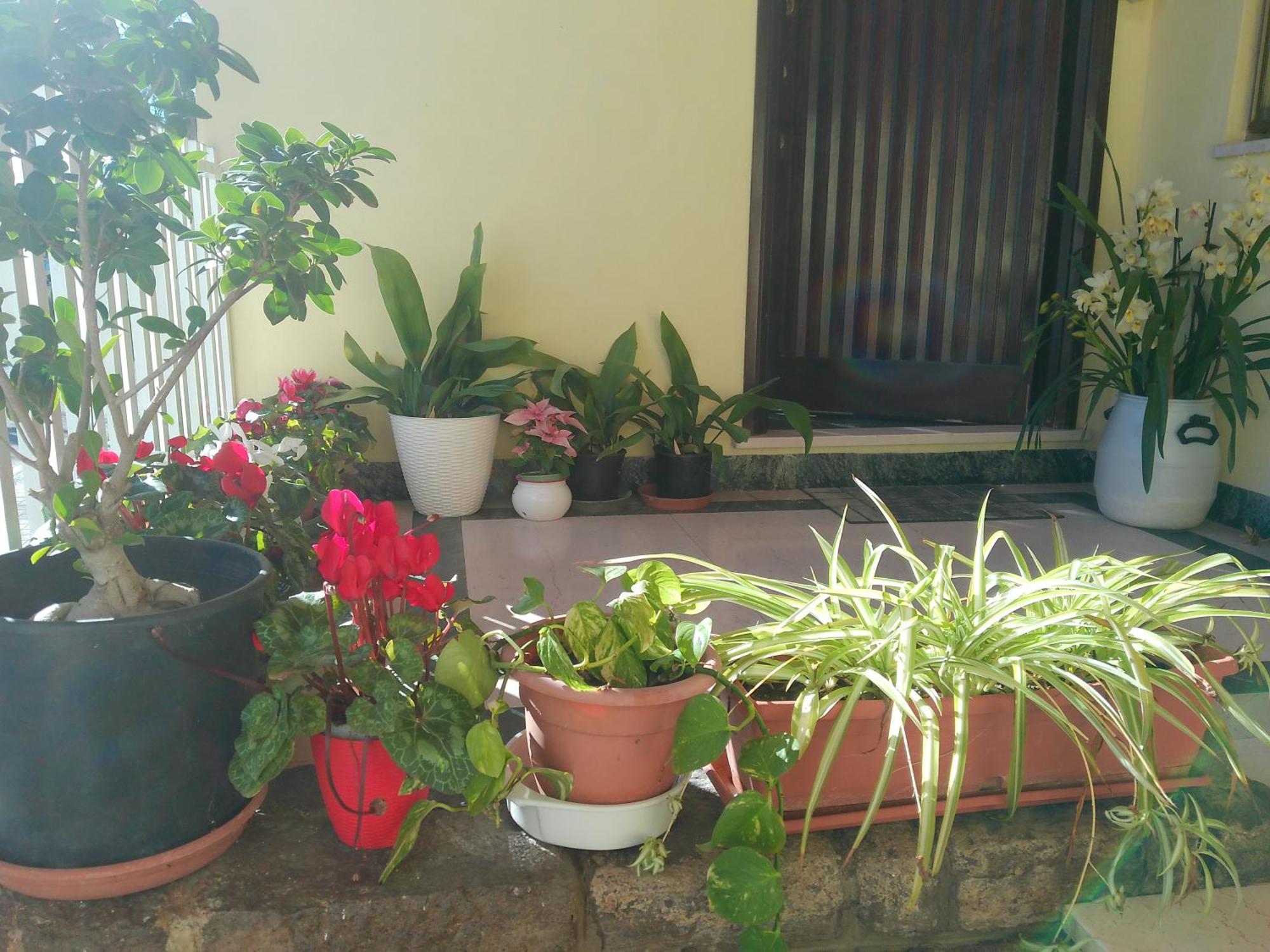 Cappuccini Apartments Oristano Ngoại thất bức ảnh